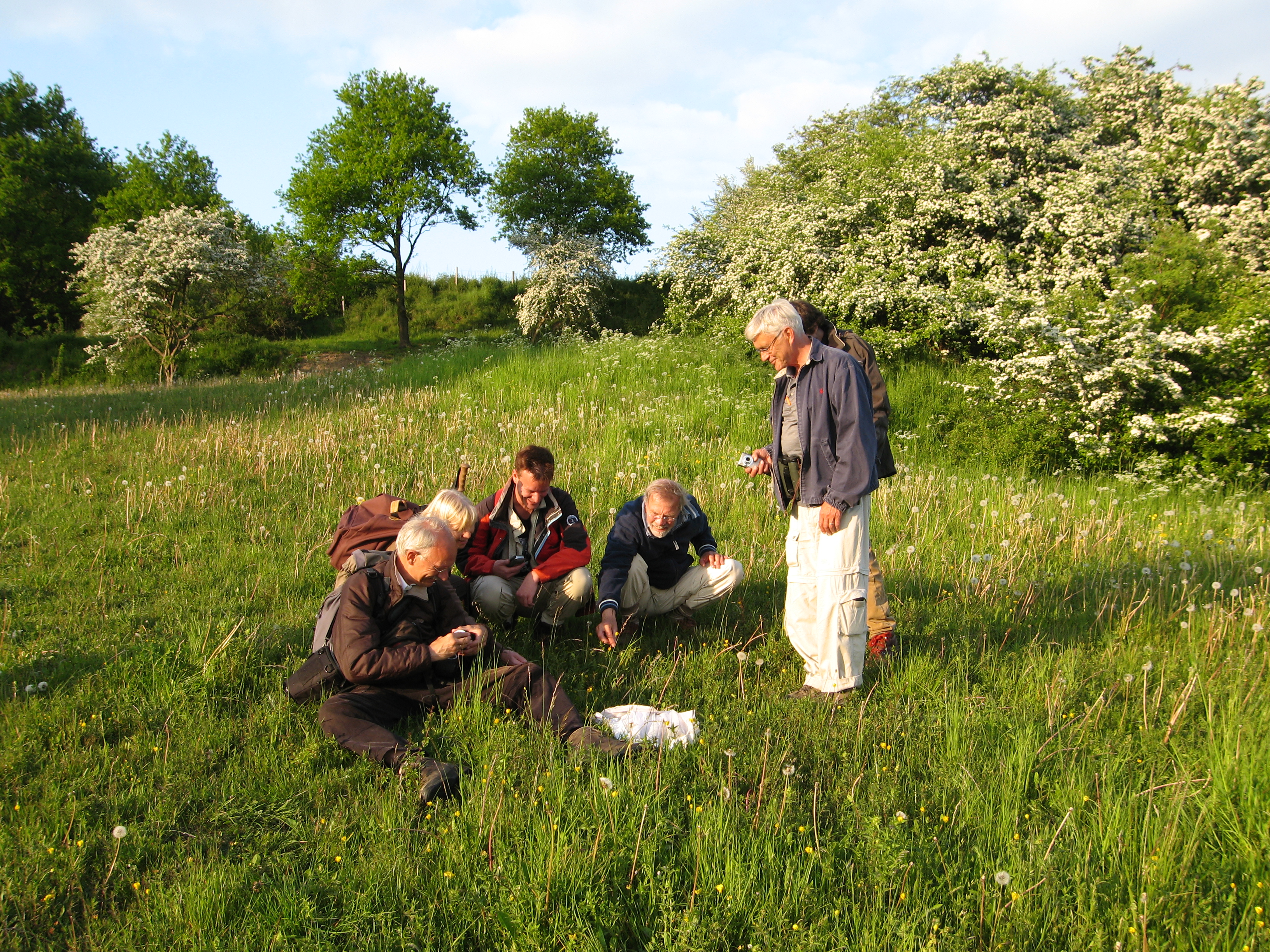 Struinmiddag Busummerheide